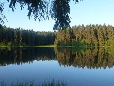 Holiday apartment Forrest View - Environment photo 19