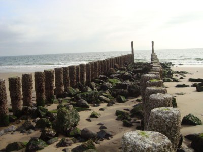 Holiday apartment Koestraat 40 - Environment photo 27