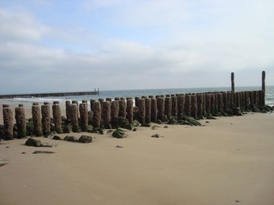 Holiday apartment Koestraat 40 - Environment photo 28