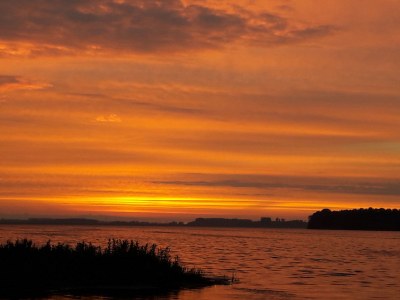 Holiday house Lakeside holiday home directly on the Veluwemeer - Environment photo 21