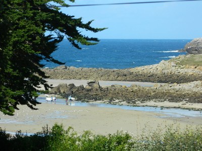 Holiday house C1460 Landunvez-ge - Environment photo 13