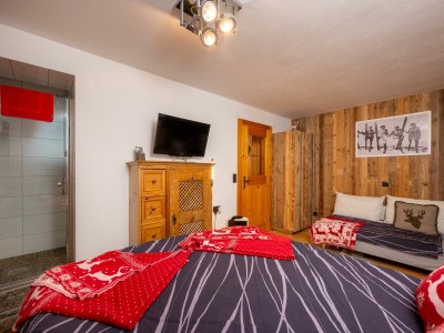 Apartment Babsi-Alm Type C - Features photo 18