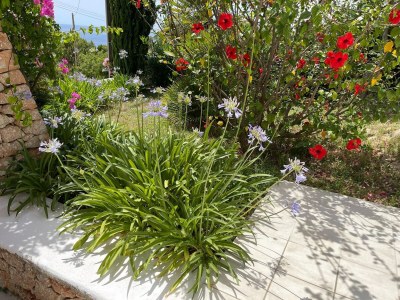 Holiday house Villa auf Ibiza nahe Stränden - Outdoor photo 7