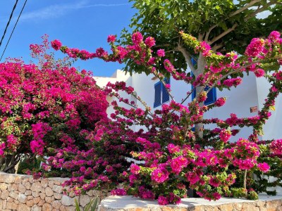 Holiday house Villa auf Ibiza nahe Stränden - Outdoor photo 13