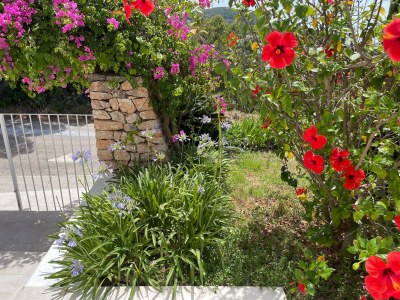 Holiday house Villa auf Ibiza nahe Stränden - Outdoor photo 14