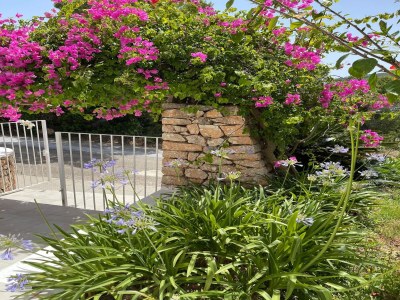 Holiday house Villa auf Ibiza nahe Stränden - Outdoor photo 15