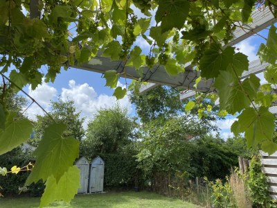 Holiday house Tesselwind - Outdoor photo 4