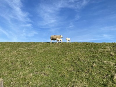 Holiday house Tesselwind - Environment photo 35