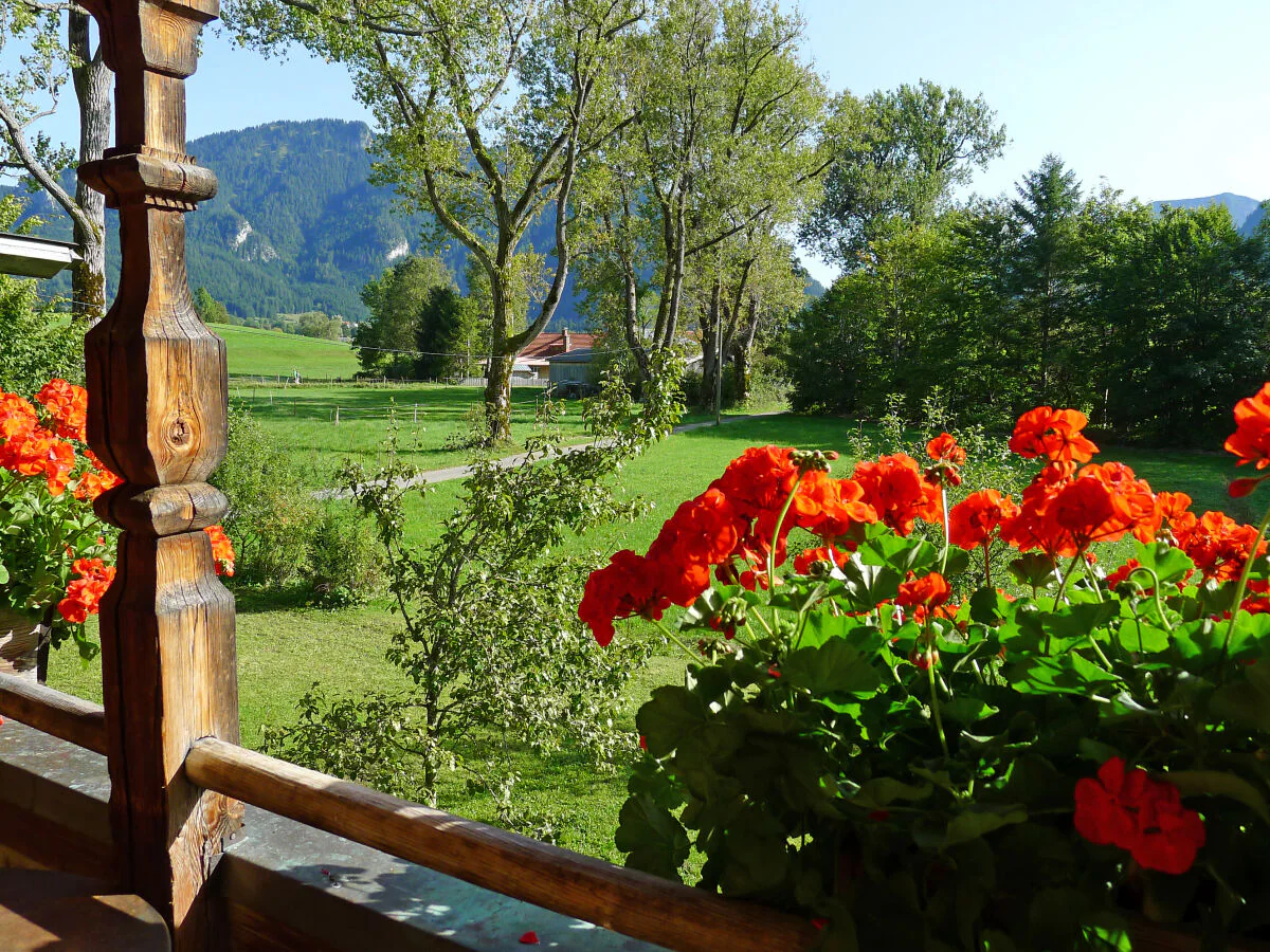 Holiday apartment Lydia Killer - Outdoor photo 3