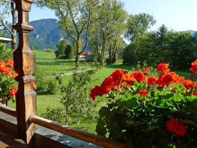 Holiday apartment Lydia Killer - Outdoor photo 3