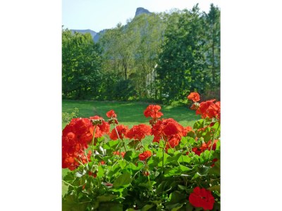 Holiday apartment Lydia Killer - Outdoor photo 4