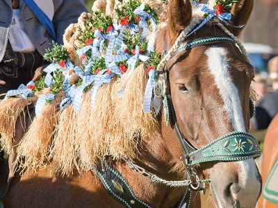 Holiday apartment Lydia Killer - Environment photo 17