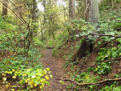 Holiday house 6 Personen Ferienhaus in Ebeltoft - Outdoor photo 17