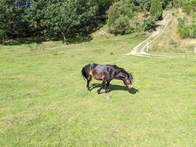 Holiday house 6 Personen Ferienhaus in Ebeltoft - Outdoor photo 21