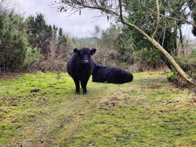 Holiday house 6 Personen Ferienhaus in Ebeltoft - Outdoor photo 22