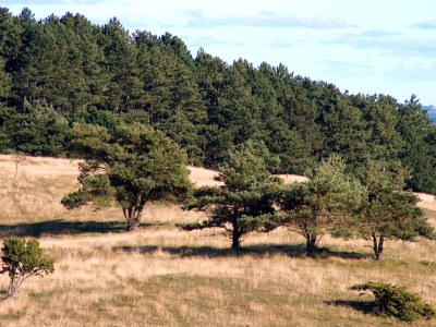 Holiday house 6 Personen Ferienhaus in Ebeltoft - Outdoor photo 23