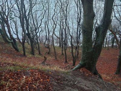 Holiday house 6 Personen Ferienhaus in Ebeltoft - Outdoor photo 24