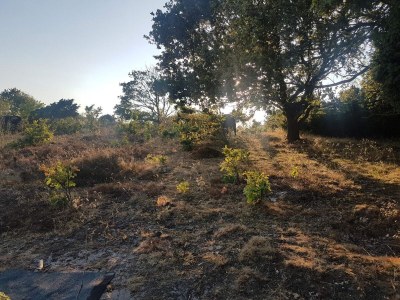 Holiday house 6 Personen Ferienhaus in Ebeltoft - Outdoor photo 25