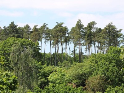 Holiday house 6 Personen Ferienhaus in Ebeltoft - Outdoor photo 28