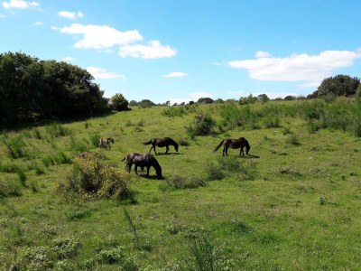 Holiday house 6 Personen Ferienhaus in Ebeltoft - Outdoor photo 30