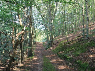 Holiday house 6 Personen Ferienhaus in Ebeltoft - Outdoor photo 32