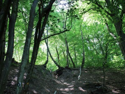 Holiday house 6 Personen Ferienhaus in Ebeltoft - Outdoor photo 33