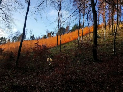 Holiday house 6 Personen Ferienhaus in Ebeltoft - Outdoor photo 34