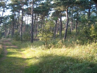 Holiday house 8 Personen Ferienhaus in Væggerløse-By Traum - Outdoor photo 14