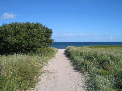 Holiday house 8 Personen Ferienhaus in Væggerløse-By Traum - Outdoor photo 30