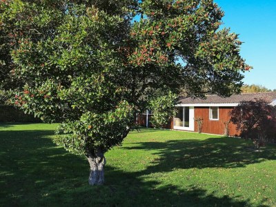 Holiday house 8 Personen Ferienhaus in Væggerløse-By Traum - Outdoor photo 35