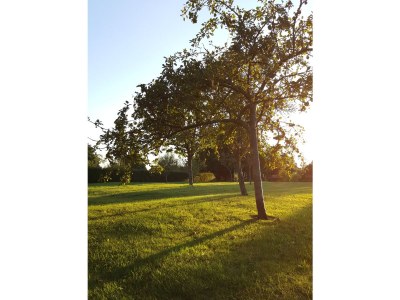 Holiday house La Sauvageais - Outdoor photo 6