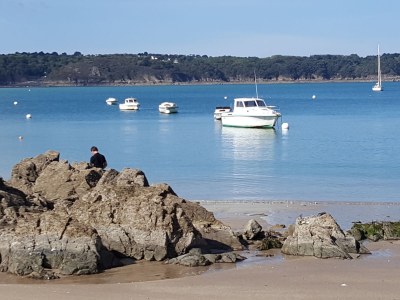 Holiday house La Sauvageais - Environment photo 20