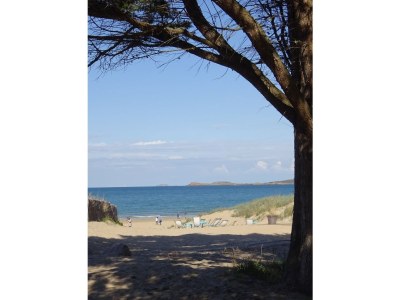 Holiday house La Sauvageais - Environment photo 21