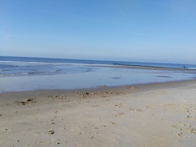 Holiday house Villa Orchidee - Environment photo 15