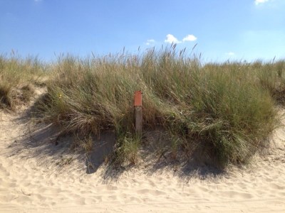 Holiday house Villa Orchidee - Environment photo 17