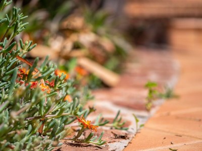 Holiday house Casa Foca - Familienfreundliches Ferienhaus in ruhiger Lage mit spektakulärem Meerblick und gemütlichem Poolbereich in Bahia Azul - Outdoor photo 12