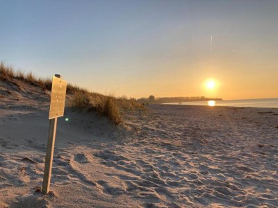 Holiday house Ferienhaus in Rerik am Strand - Environment photo 30