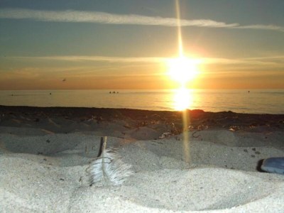 Holiday house Ferienhaus in Rerik am Strand - Environment photo 32