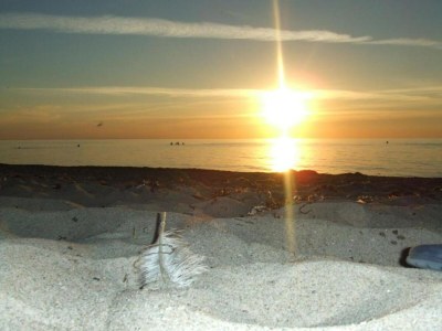 Holiday house Ferienhaus in Rerik mit eigener Terrasse - Environment photo 35