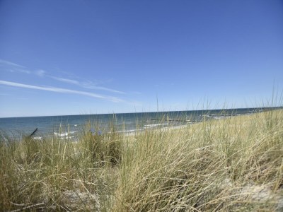 Apartment Graal-Müritz Garden Balcony Stay - Environment photo 25