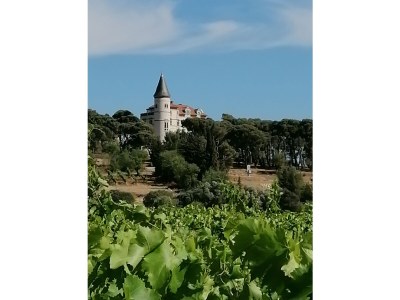 Holiday house La Condamine - Environment photo 30