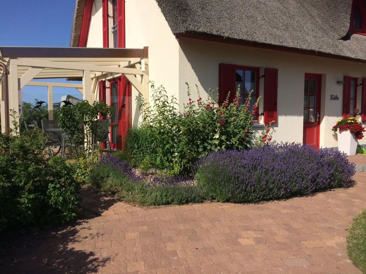 Holiday house Käthe