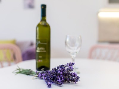 Holiday apartment Helena 3 – 30 m² große Terrasse, Panoramablick für Paare - Features photo 10