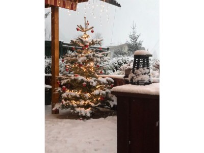 Chalet Chalet Eulennest - Outdoor photo 6