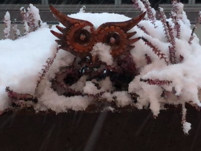 Chalet Chalet Eulennest - Outdoor photo 7