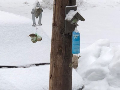 Chalet Chalet Eulennest - Outdoor photo 8