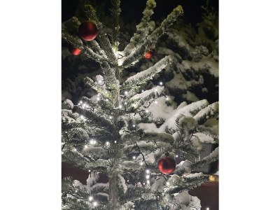 Chalet Chalet Eulennest - Features photo 15