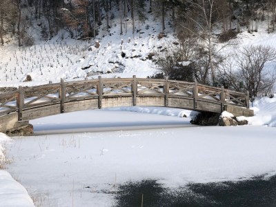 Chalet Chalet Eulennest - Environment photo 22