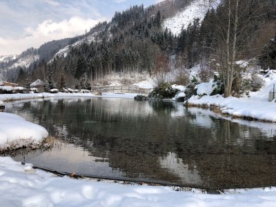 Chalet Chalet Eulennest - Environment photo 23