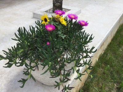 Holiday apartment Villa Maja Apartment - Environment photo 40